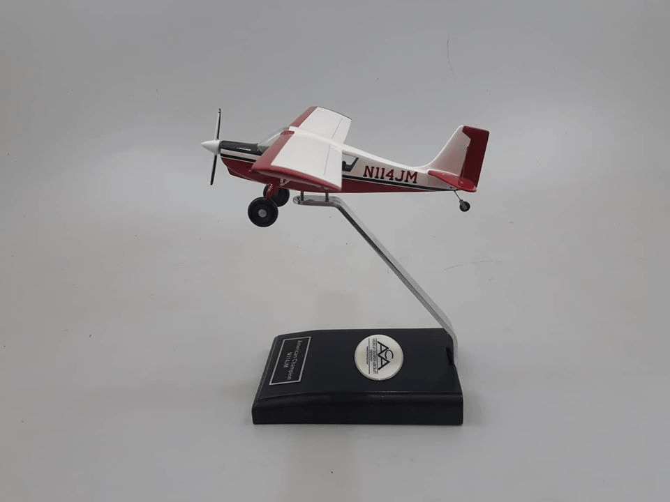 8GCBC Scout NICESKY Spinner Flugzeug NFT 