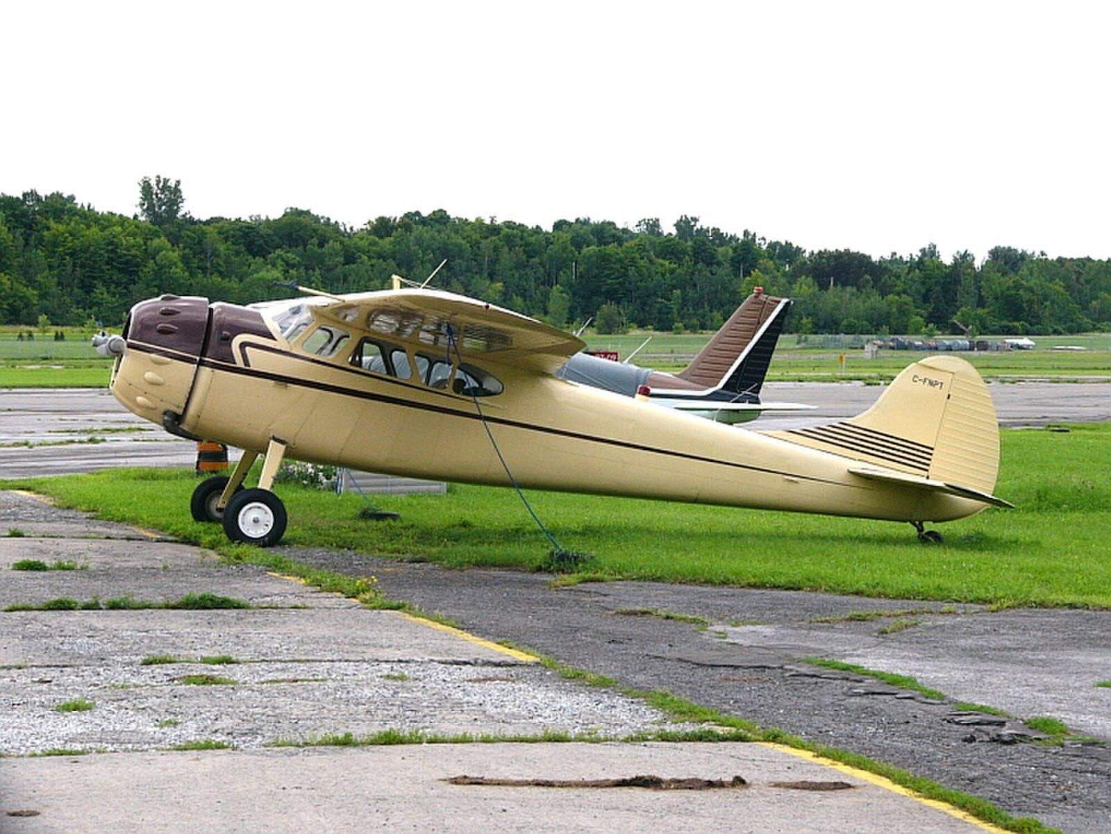 Cessna 190 1