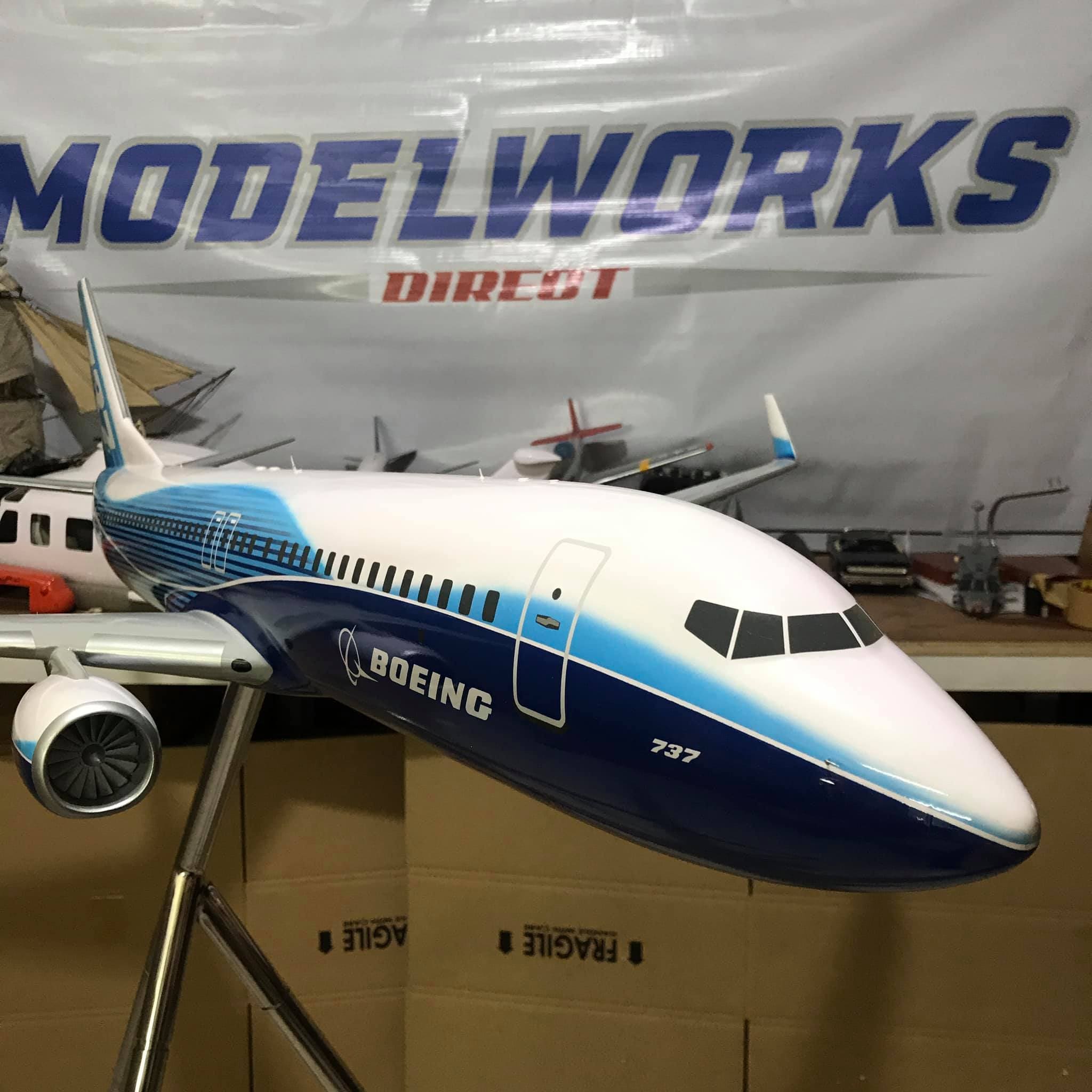 Boeing 737-800 custom